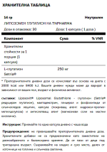 TN Pharma - Glutatione liposomiale - 30 ВЕГАН КАПСУЛИ / 30 ДОЗИ - Image 2